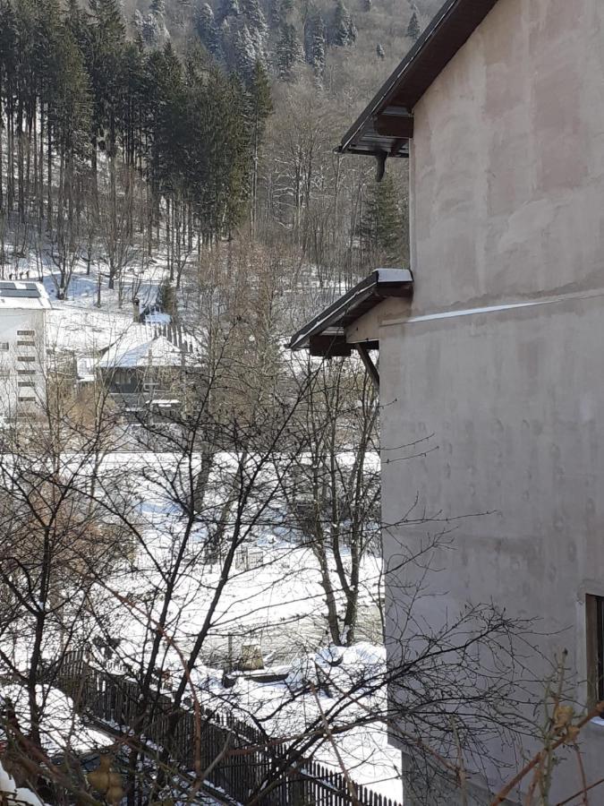 Casa Ryana Sinaia Hotel Kültér fotó