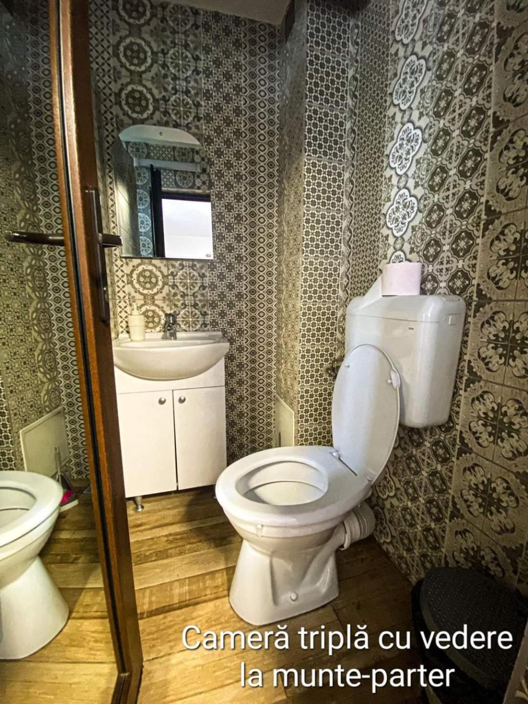 Casa Ryana Sinaia Hotel Kültér fotó