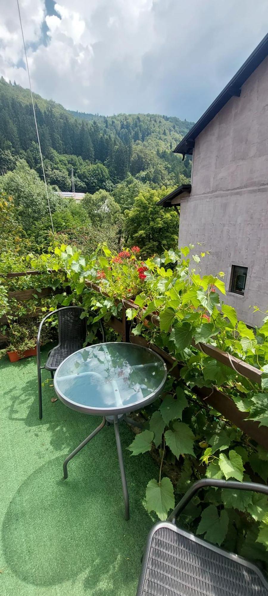 Casa Ryana Sinaia Hotel Kültér fotó